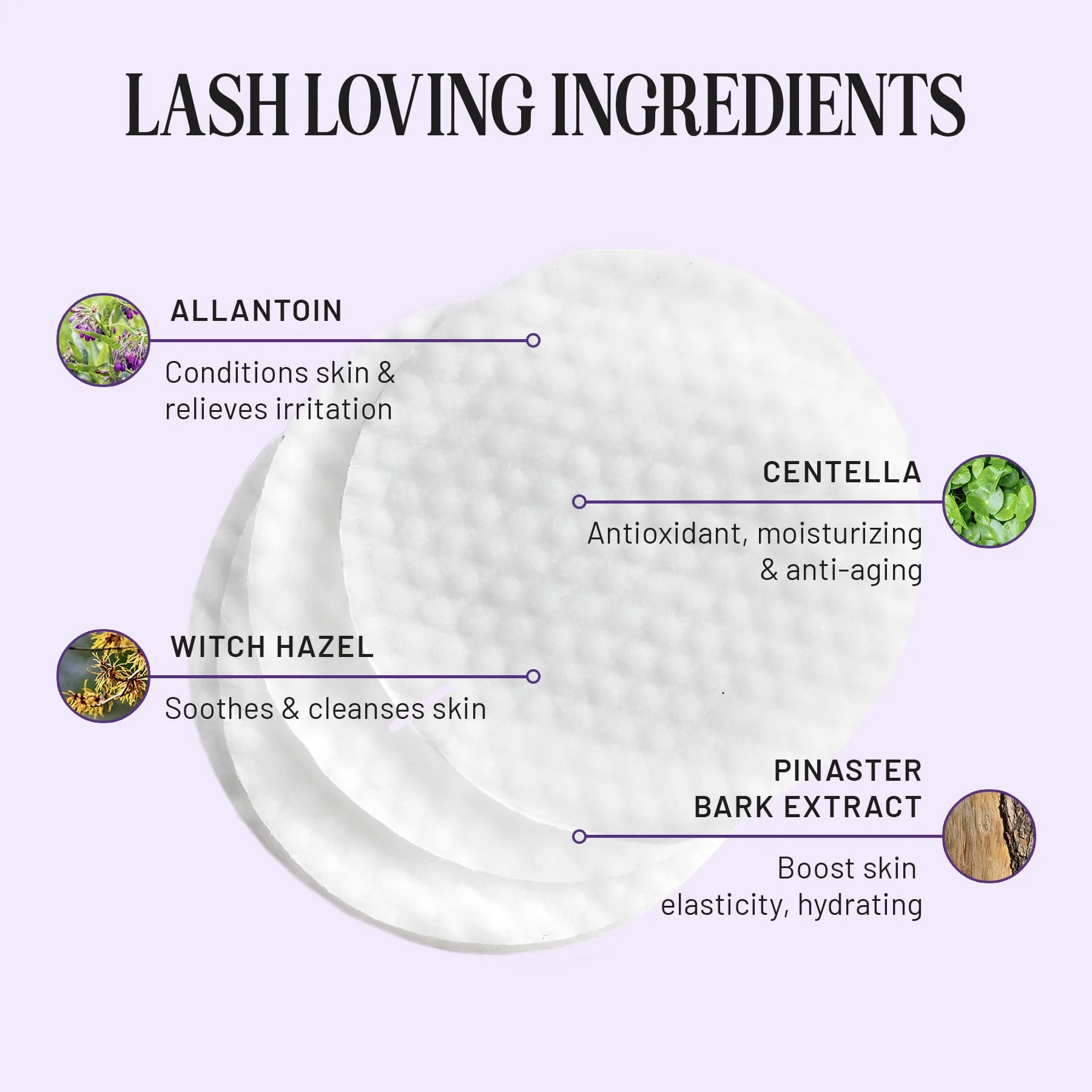 Expert Application Kit - Image 3