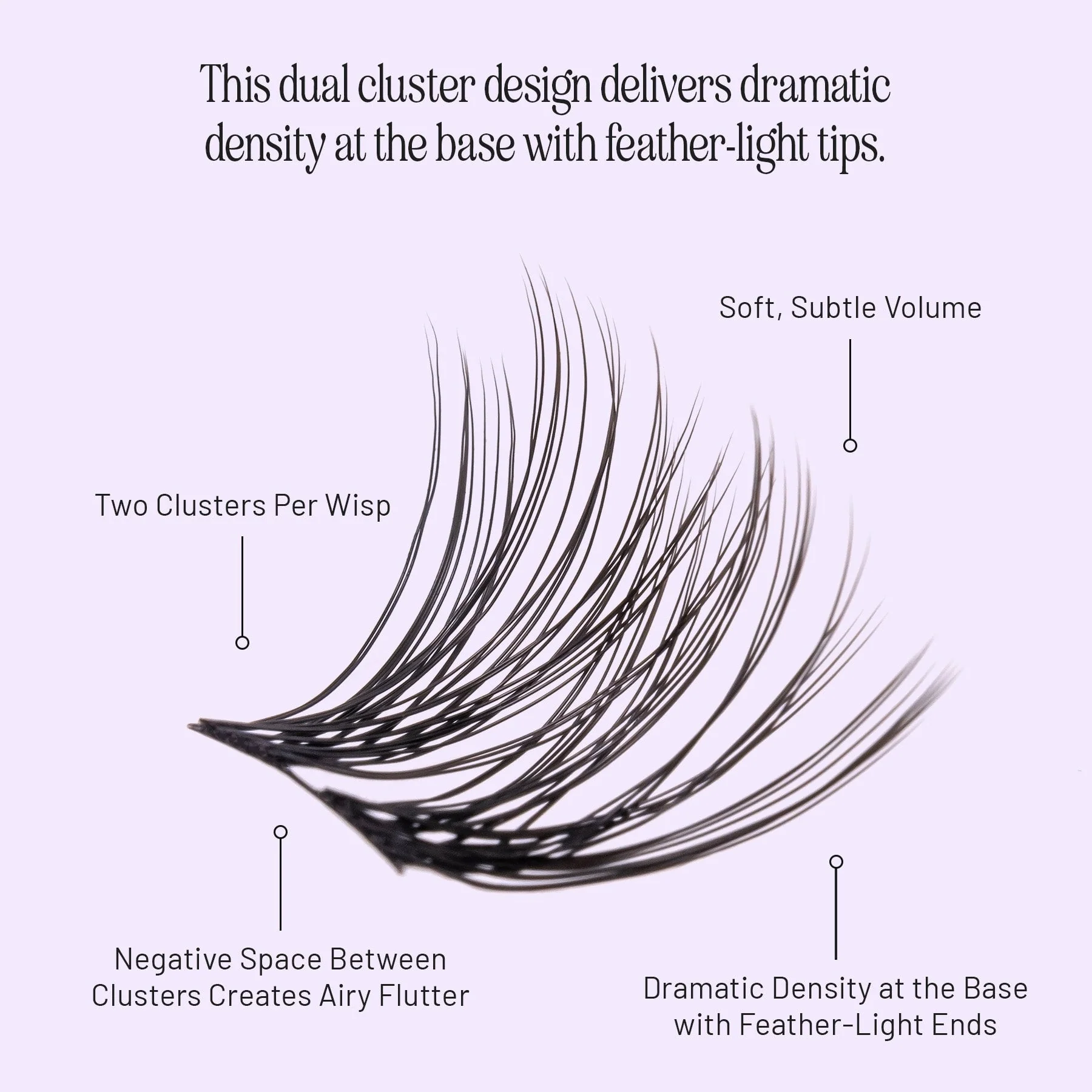 Feather - Image 3