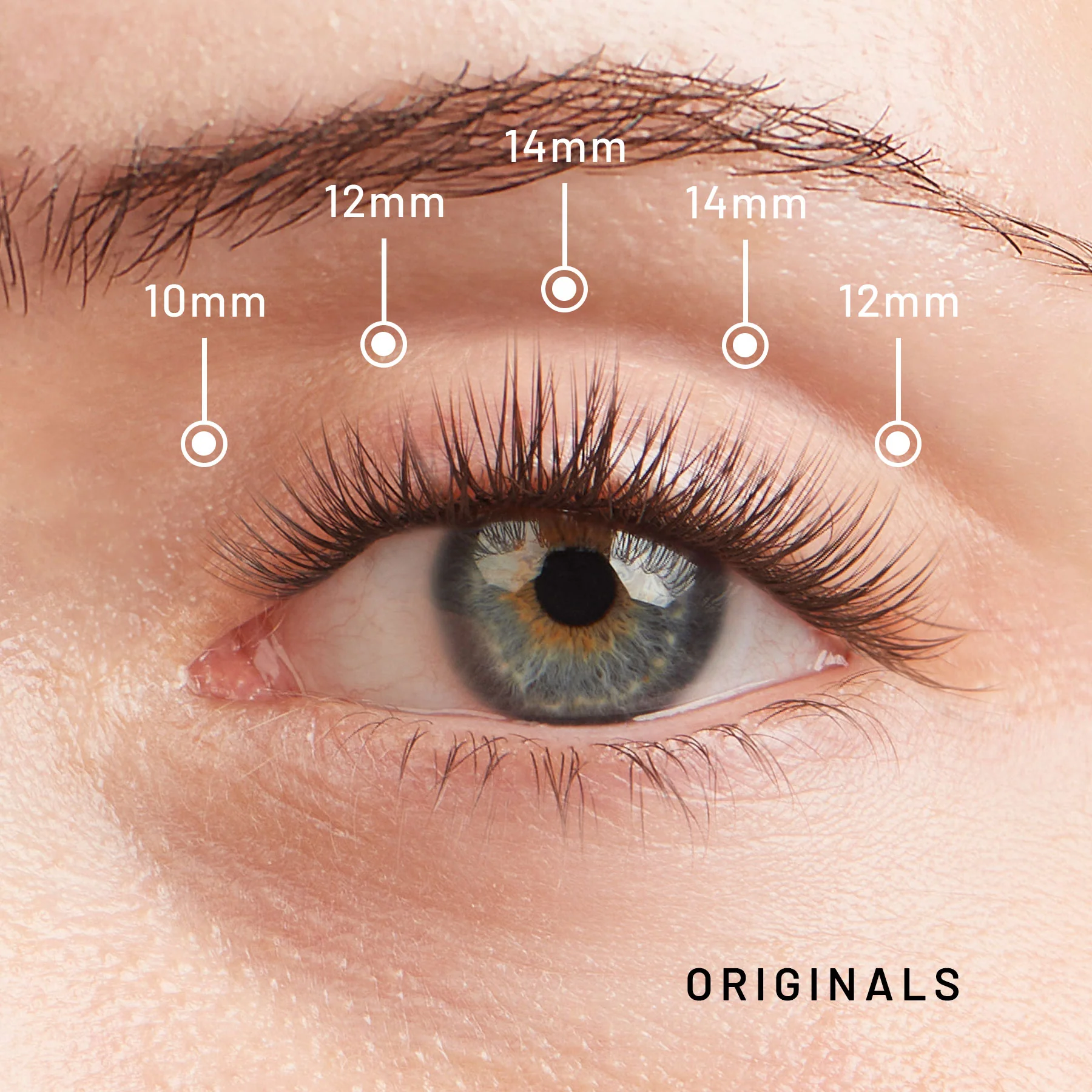 Deluxe Starter Kit Set - Originals - Image 5